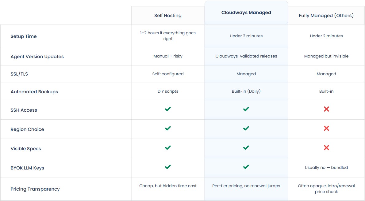 cloudways managed ai agents vs others